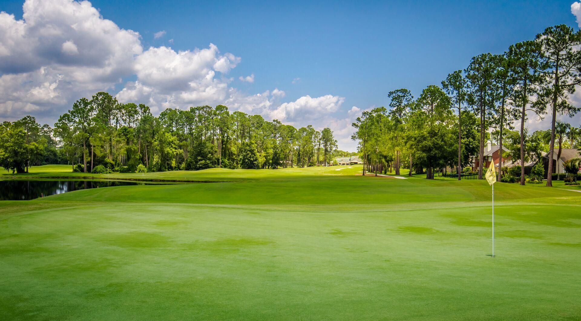 Eagle Harbor Golf Club Fleming Island, FL